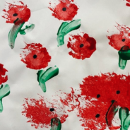 Poppy Remembrance Day