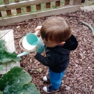 Gardening